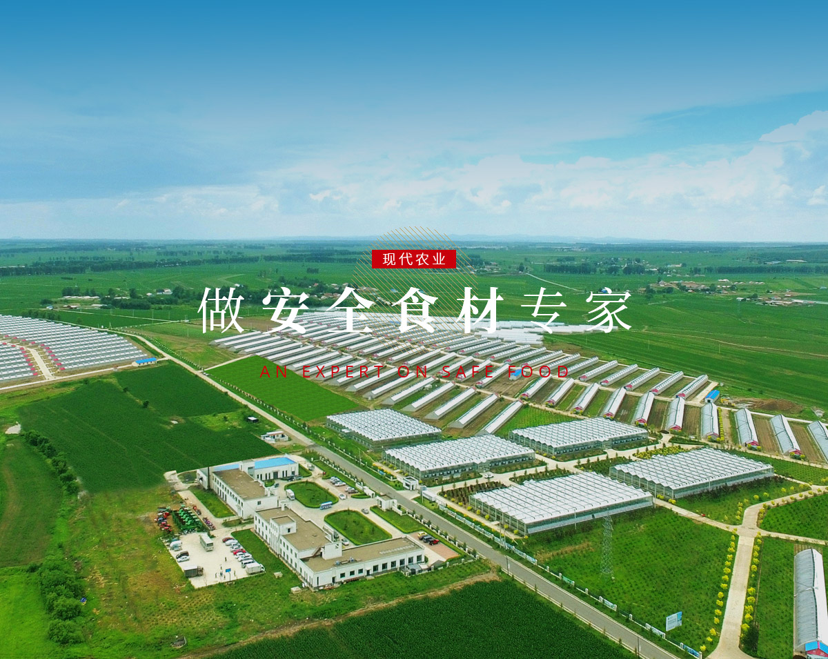 banner5_p9615812 XPJ·(澳门区)公司官方网站